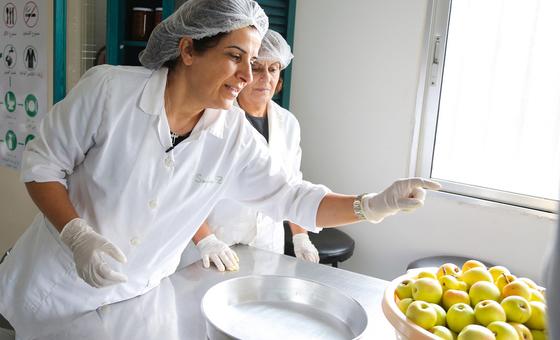 Líbano vive em segurança alimentar ainda frágil apesar de sinais de alívio